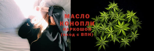 мдпв Михайлов