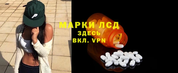 PSILOCYBIN Горно-Алтайск