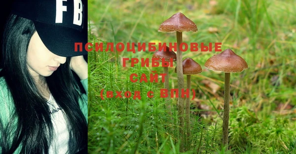 PSILOCYBIN Михайловка