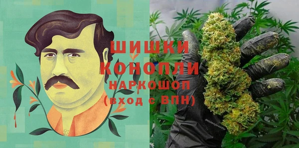мдпв Михайлов