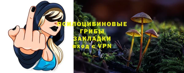 apvp Медвежьегорск