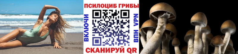 Галлюциногенные грибы мицелий  Данков 